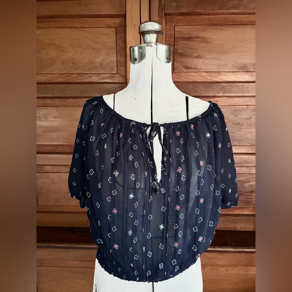 Hollister Sheer Blue Blouse